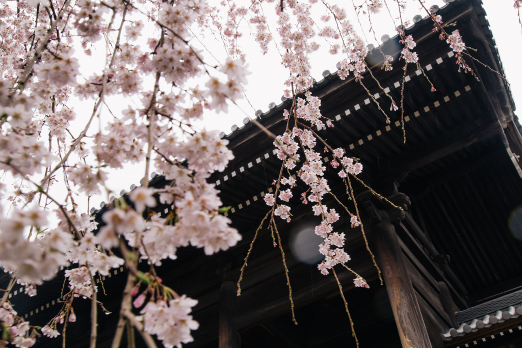 f:id:shiro82:20170403135703j:plain
