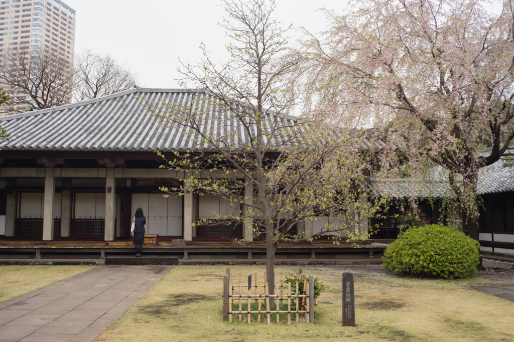 f:id:shiro82:20170505161322j:plain