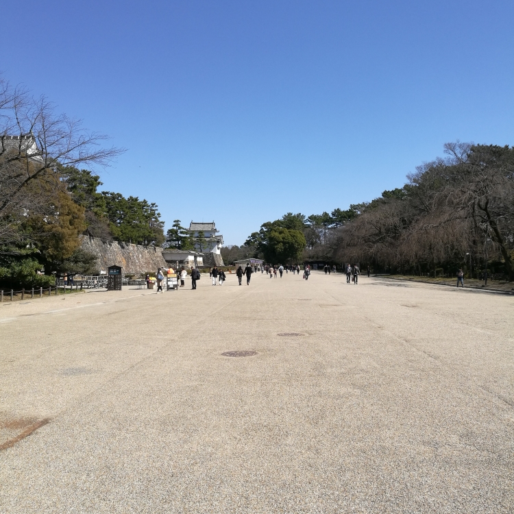 f:id:shiroatomeguri:20180318193620j:plain f:id:shiroatomeguri:20180318193620j:plain