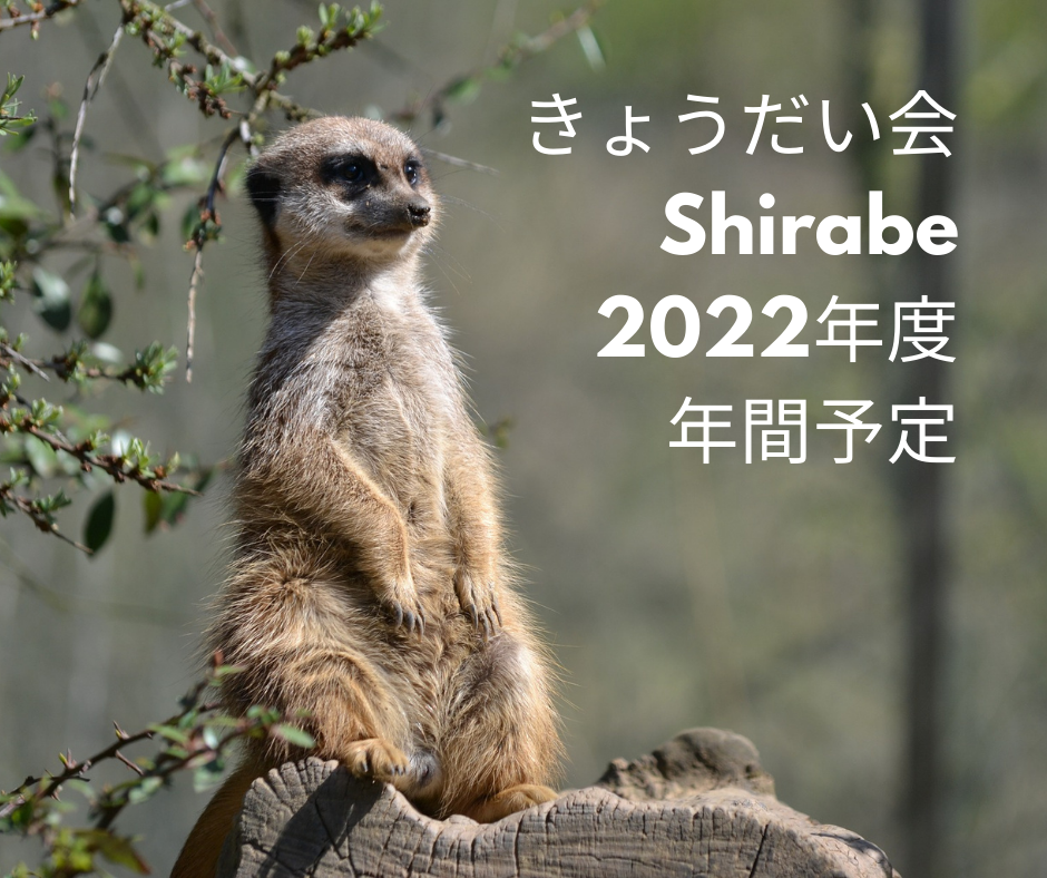 f:id:shiroayu:20220408232710p:plain