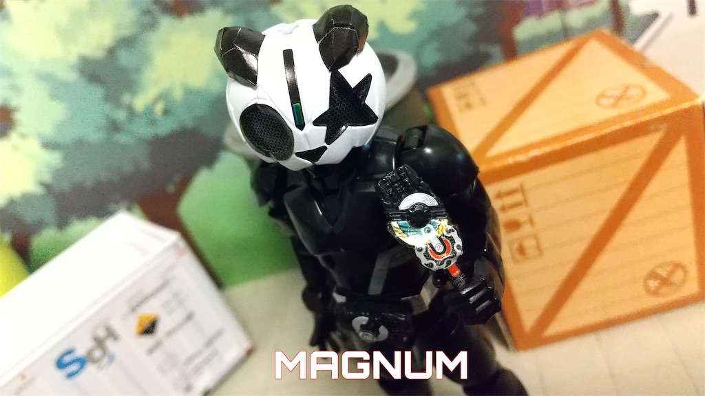 f:id:shirobem:20221127200559j:image