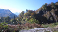 f:id:shirochan22:20111029092010j:image