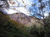 f:id:shirochan22:20111109092027j:image