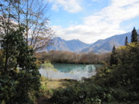 f:id:shirochan22:20111109094424j:image
