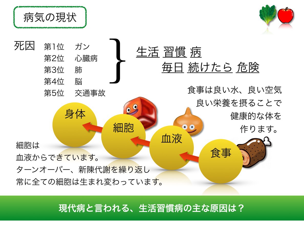 f:id:shirococco:20190425175831j:plain