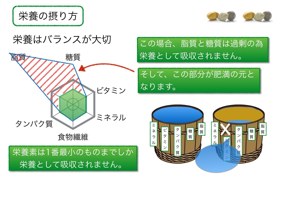 f:id:shirococco:20190425175947j:plain