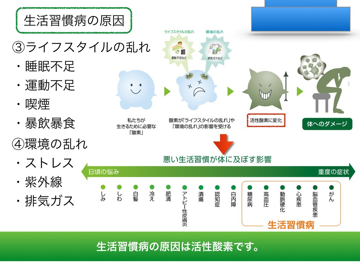 f:id:shirococco:20190425180044j:plain