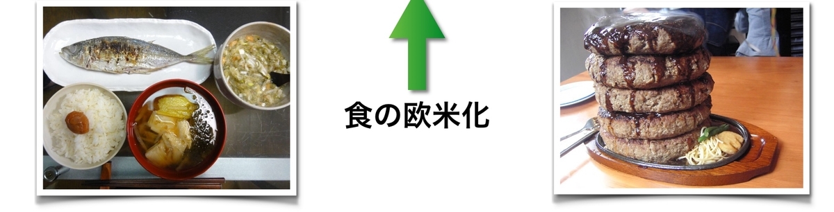 f:id:shirococco:20190602123548j:plain f:id:shirococco:20190602123548j:plain