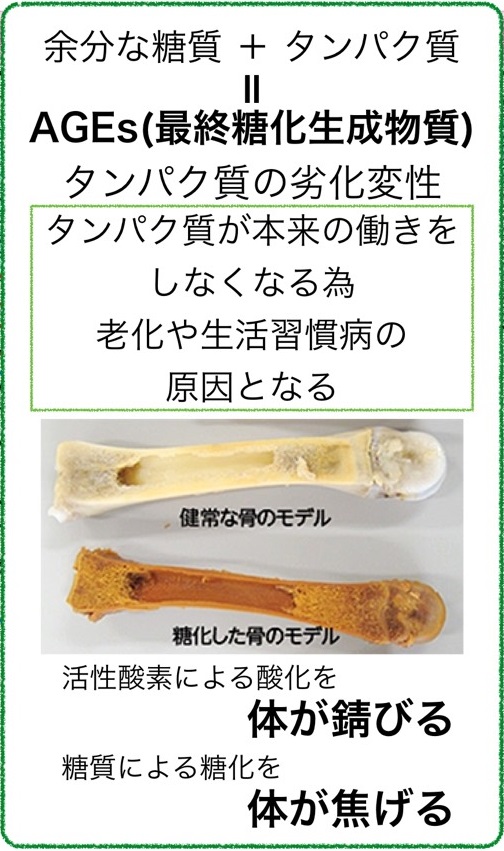 f:id:shirococco:20190603151723j:plain f:id:shirococco:20190603151723j:plain