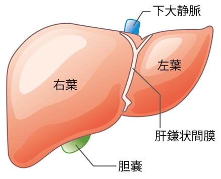 f:id:shirococco:20190619114823j:plain f:id:shirococco:20190619114823j:plain