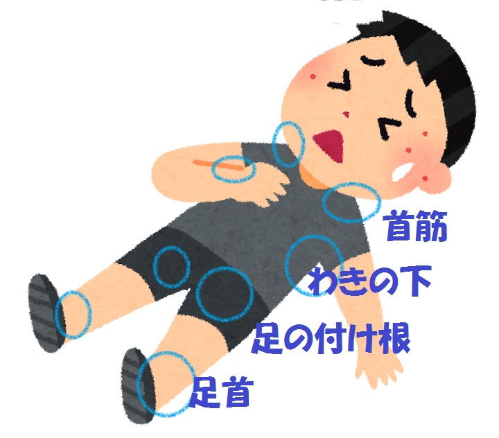 f:id:shirococco:20190806204131j:plain