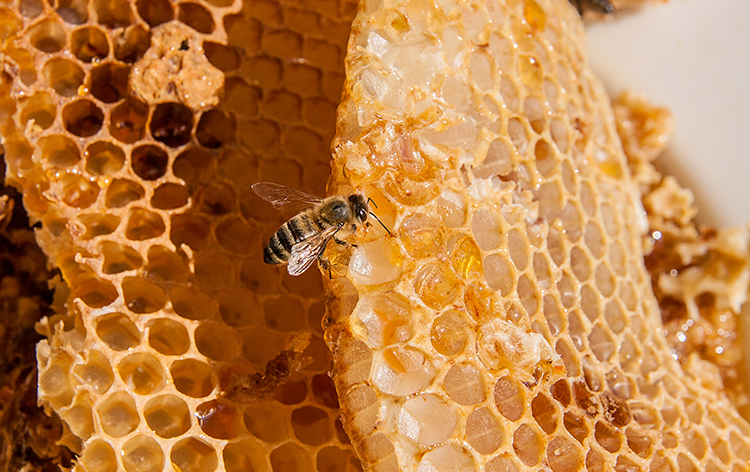 f:id:shirococco:20190809155500p:plain