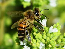 f:id:shirococco:20190809155523p:plain