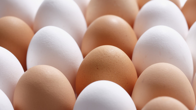 f:id:shirococco:20190921161218j:plain f:id:shirococco:20190921161218j:plain