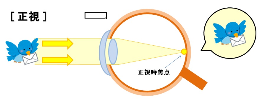 f:id:shirococco:20190922131610j:plain