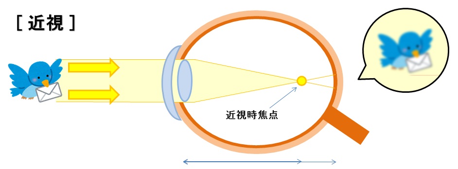 f:id:shirococco:20190922131714j:plain