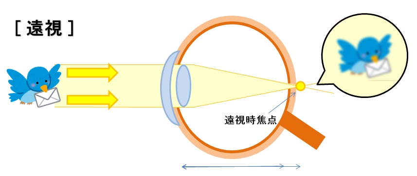 f:id:shirococco:20190922131738j:plain