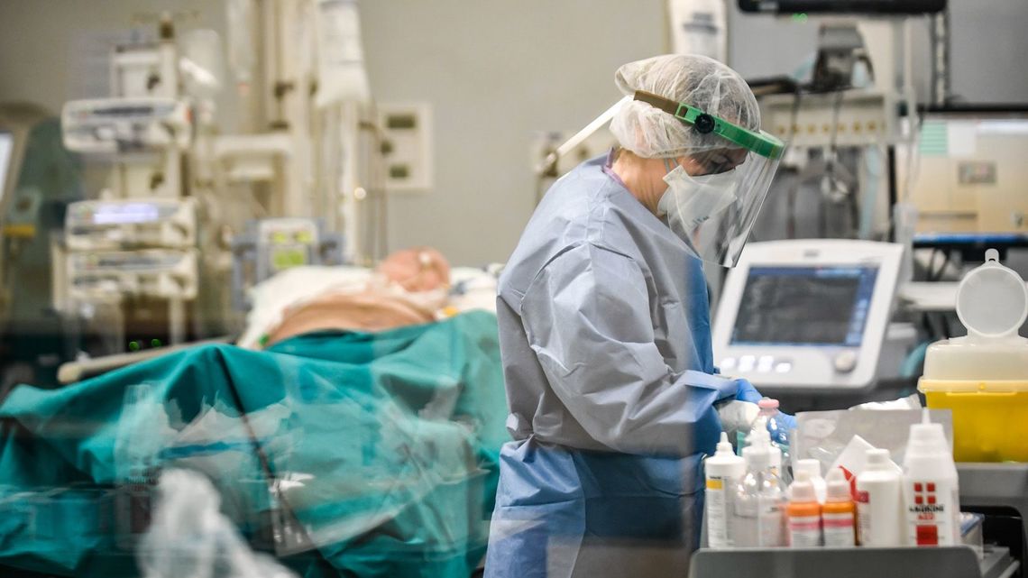 f:id:shirococco:20200330195042j:plain f:id:shirococco:20200330195042j:plain