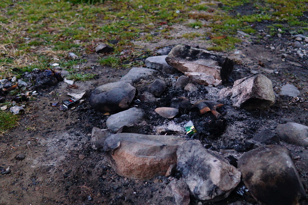 f:id:shirodango:20190205211020j:plain