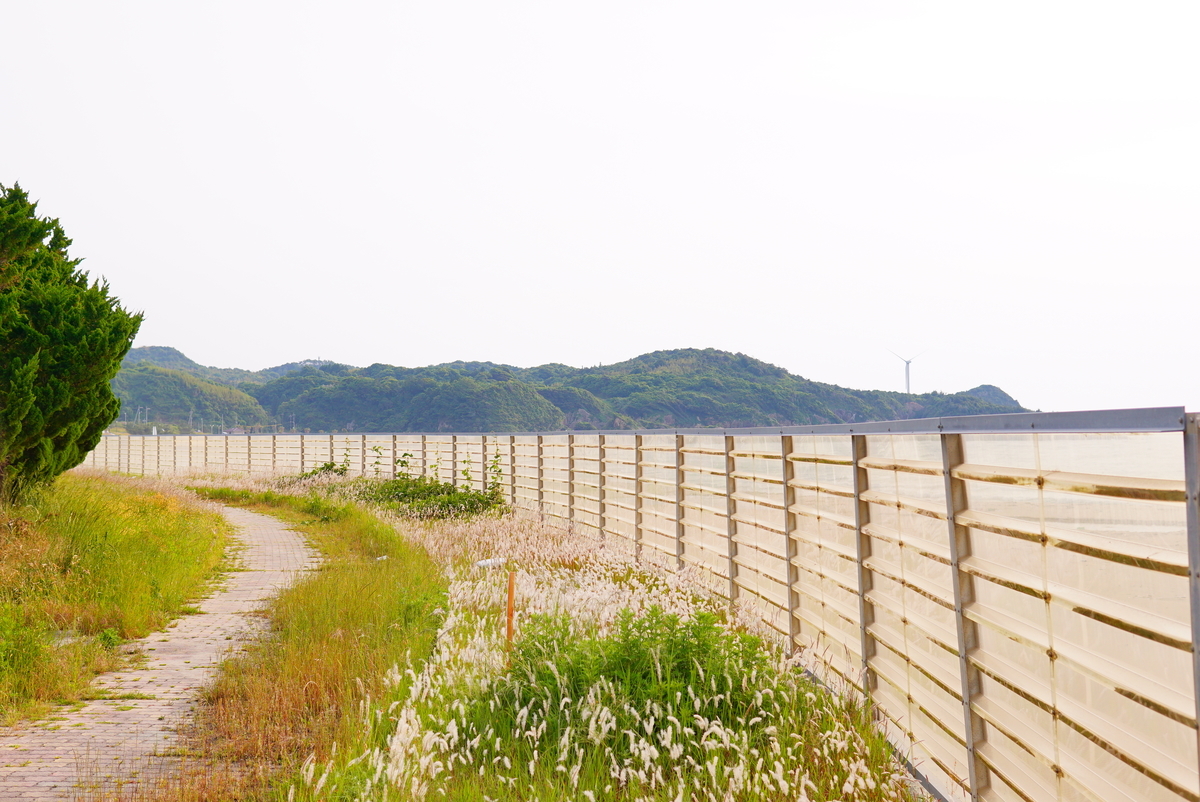 f:id:shirodango:20190529210115j:plain