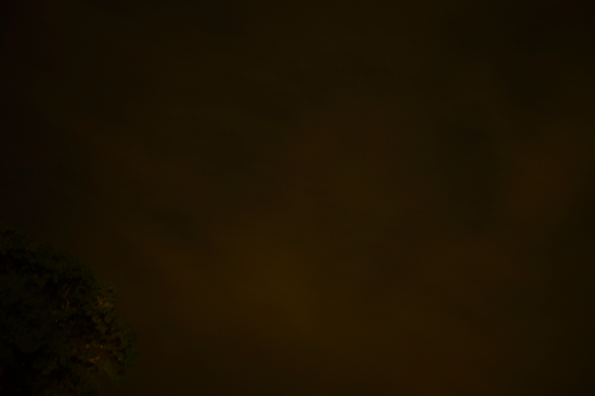 f:id:shirodango:20190902233713j:plain