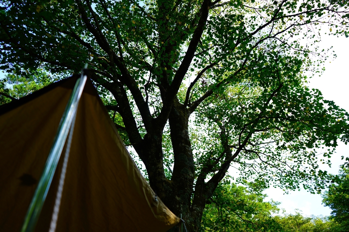 f:id:shirodango:20190902234019j:plain