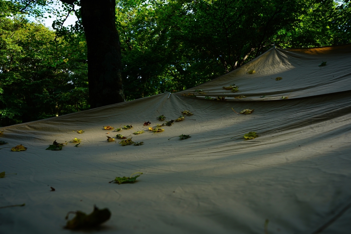 f:id:shirodango:20190902234032j:plain