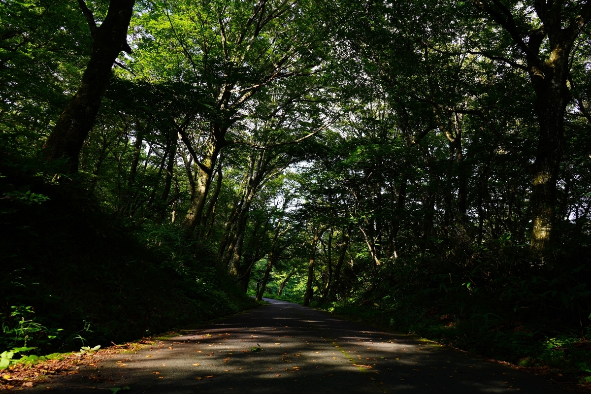 f:id:shirodango:20190902234132j:plain