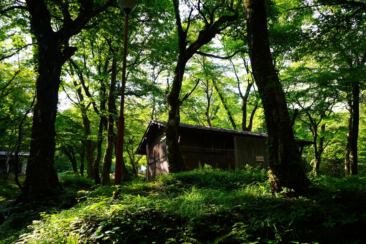 f:id:shirodango:20190902234145j:plain