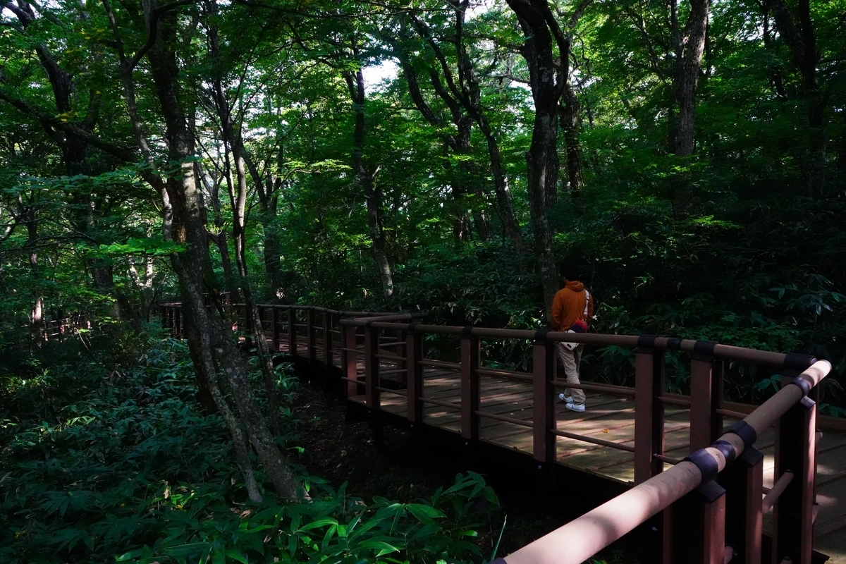 f:id:shirodango:20190902234209j:plain