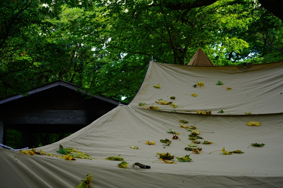 f:id:shirodango:20190902234828j:plain