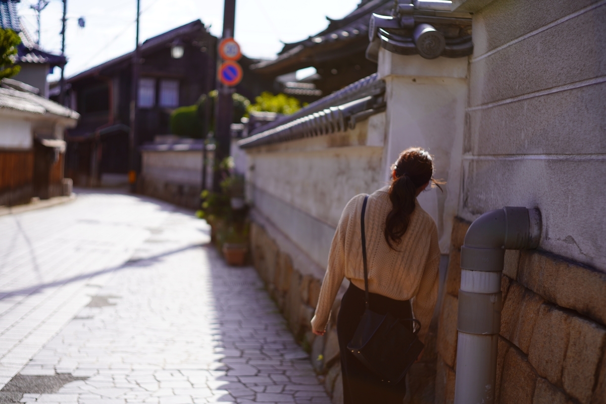 f:id:shirodango:20191124203853j:plain