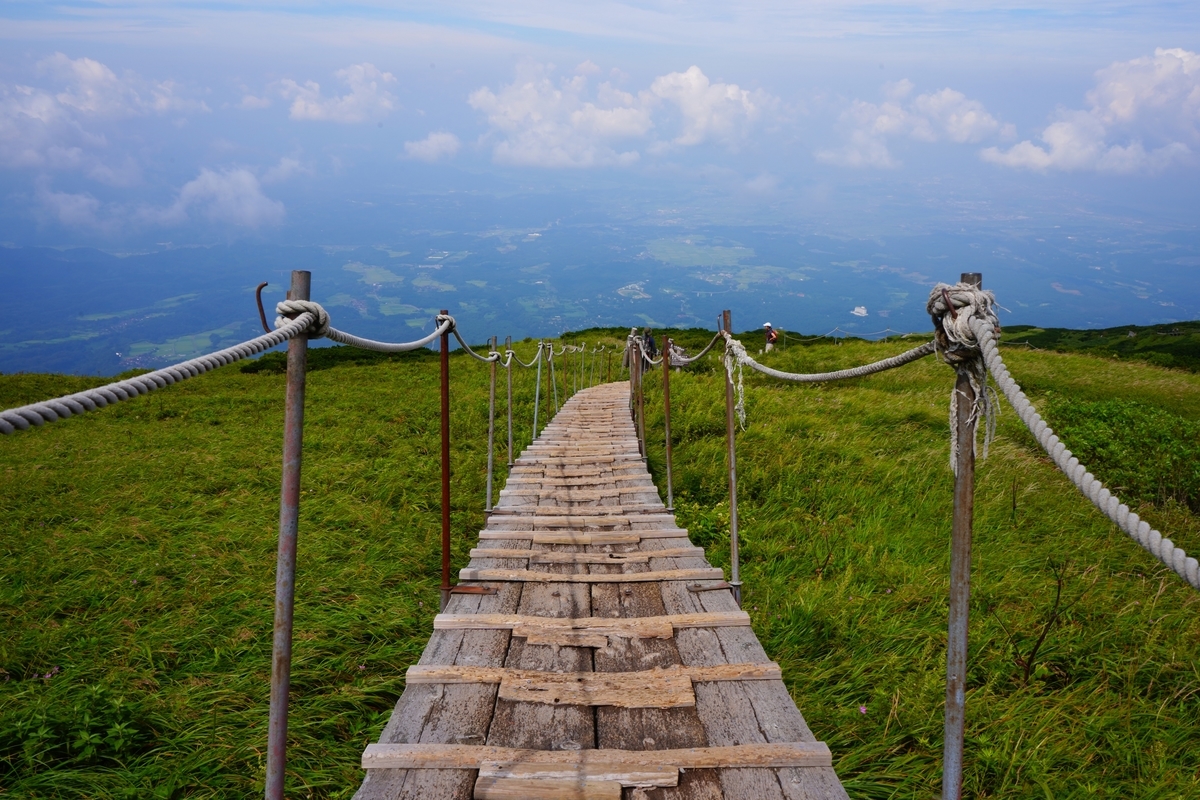 f:id:shirodango:20200125164023j:plain