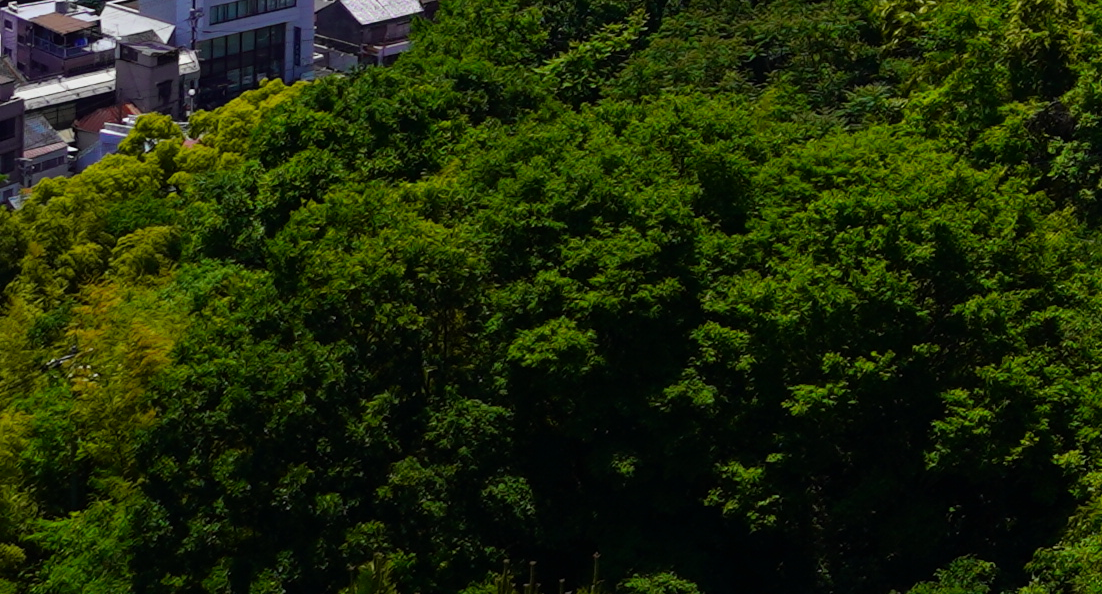 f:id:shirodango:20200524175851p:plain