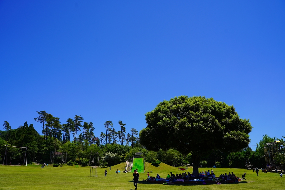 f:id:shirodango:20200614155417j:plain