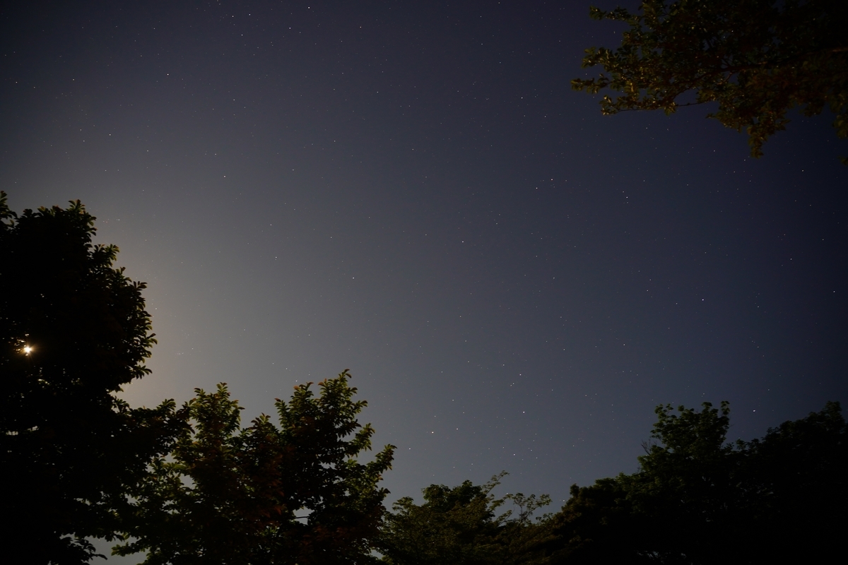 f:id:shirodango:20200614161057j:plain