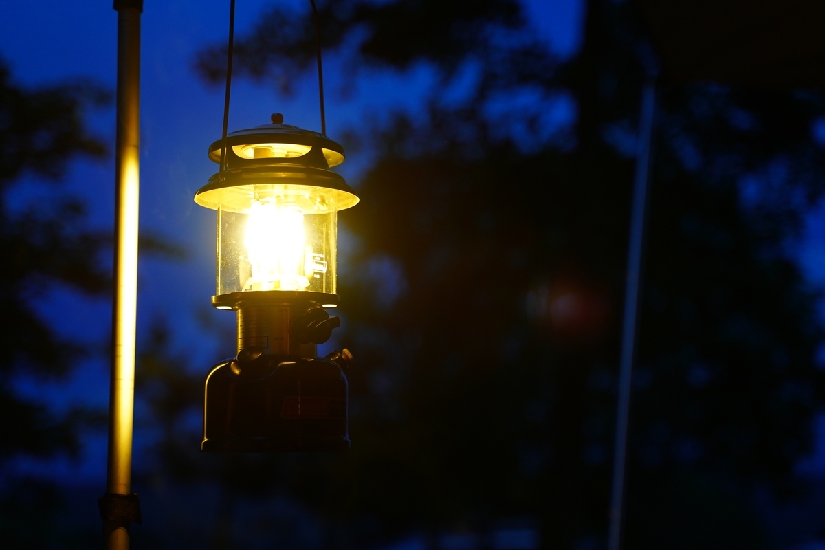 f:id:shirodango:20200802184016j:plain