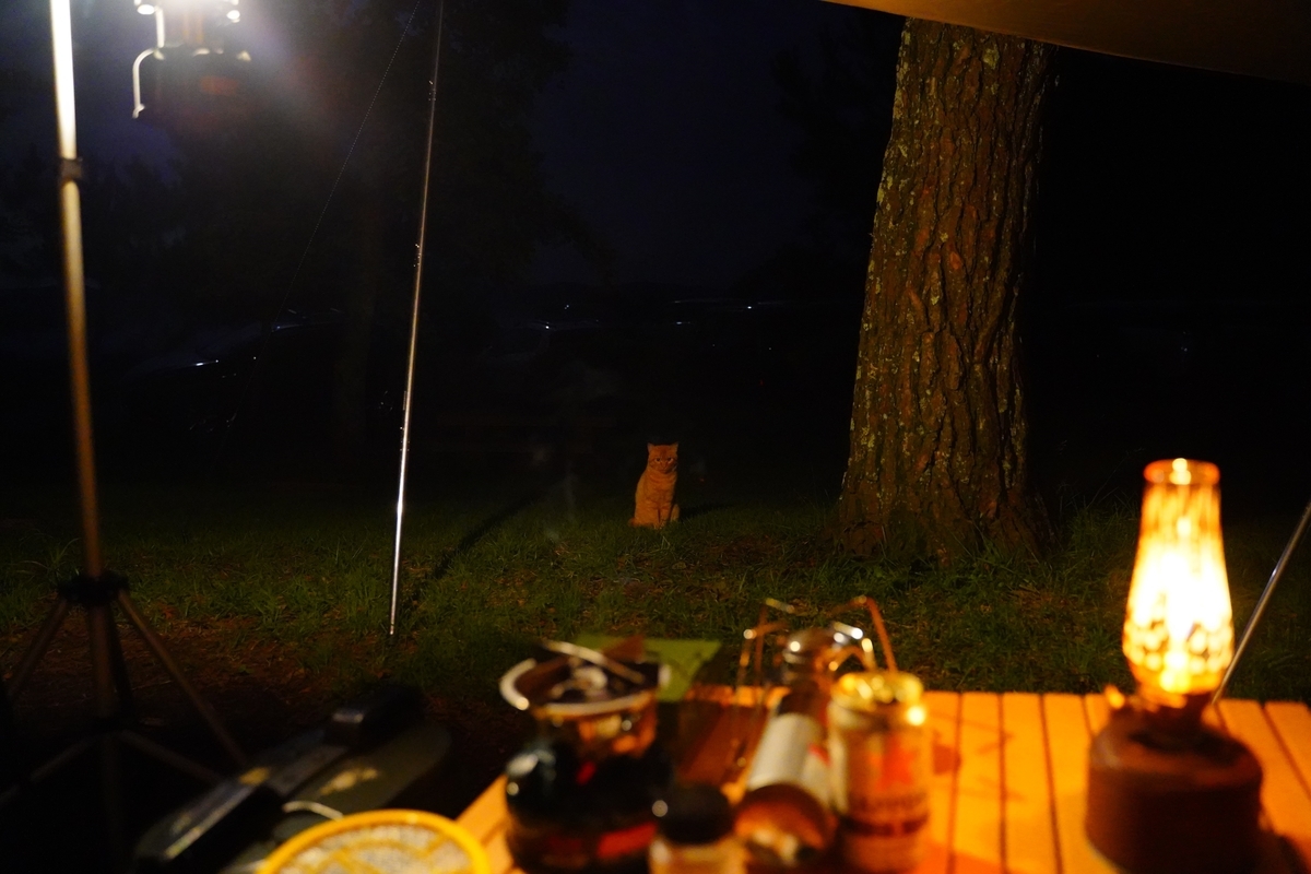 f:id:shirodango:20200802184653j:plain