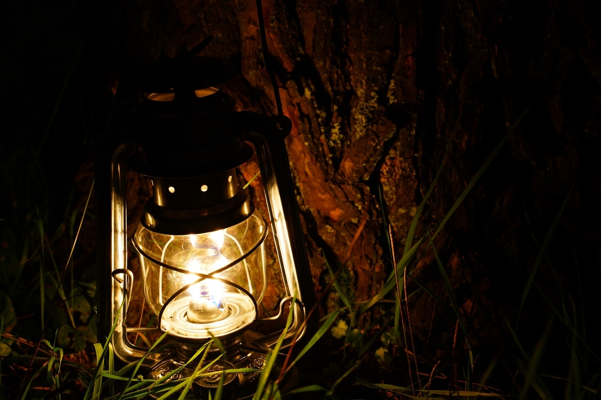 f:id:shirodango:20200802185000j:plain