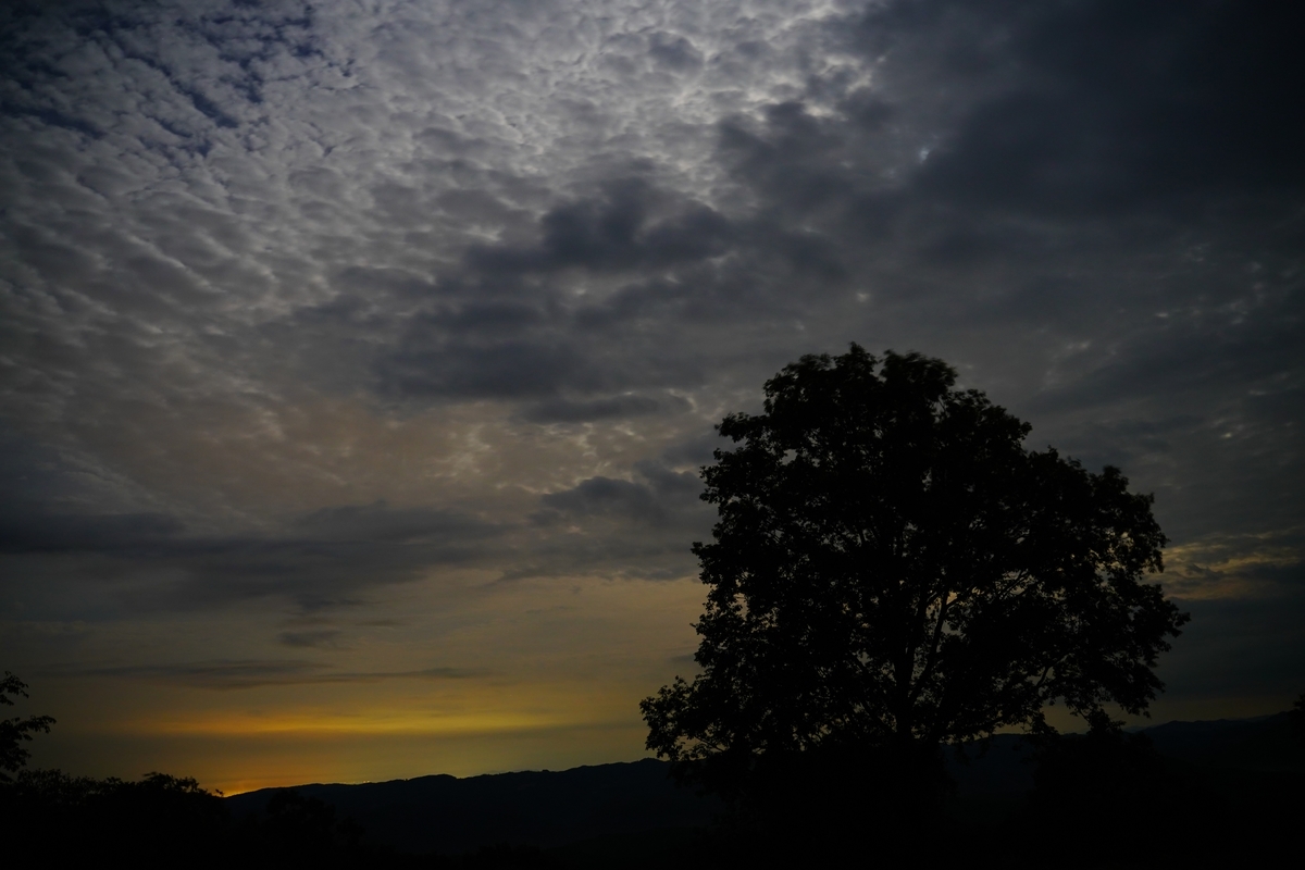 f:id:shirodango:20200802185110j:plain