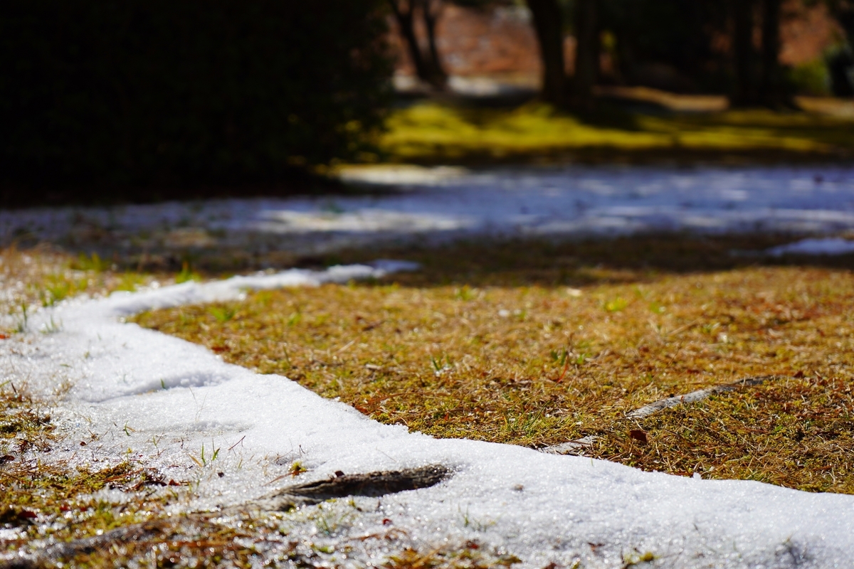 f:id:shirodango:20200917195009j:plain