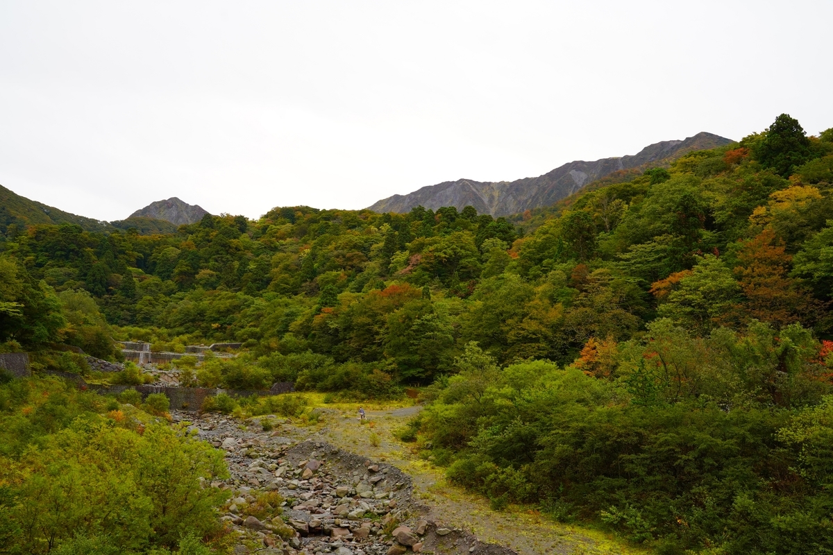 f:id:shirodango:20201019202915j:plain