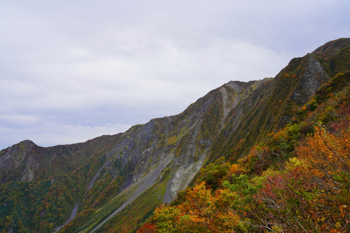 f:id:shirodango:20201019203033j:plain