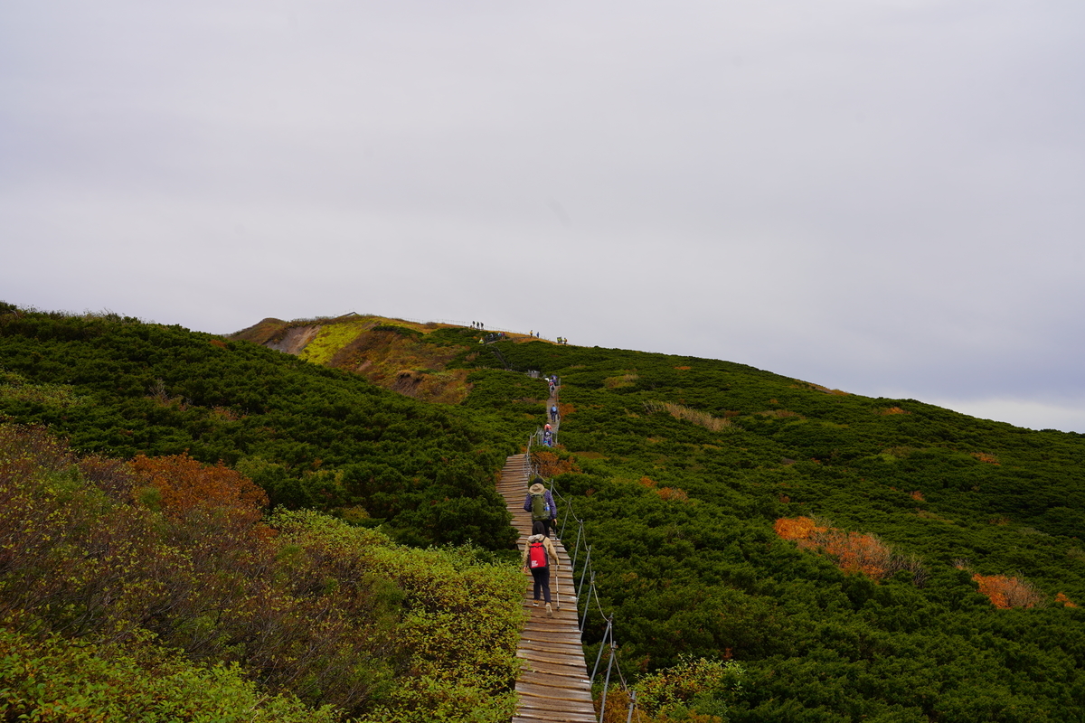 f:id:shirodango:20201019204908j:plain