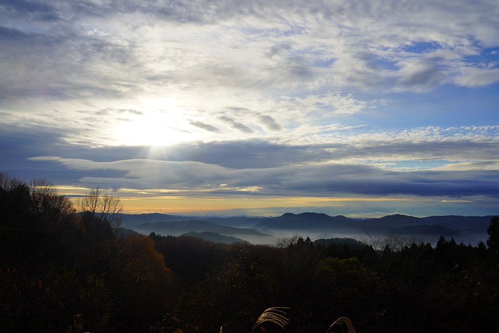 f:id:shirodango:20201201193401j:plain