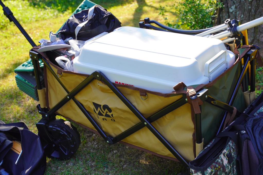 f:id:shirodango:20201212193013j:plain