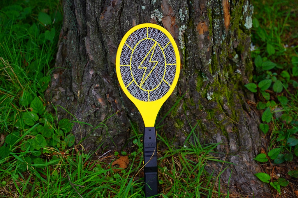 f:id:shirodango:20201212194254j:plain