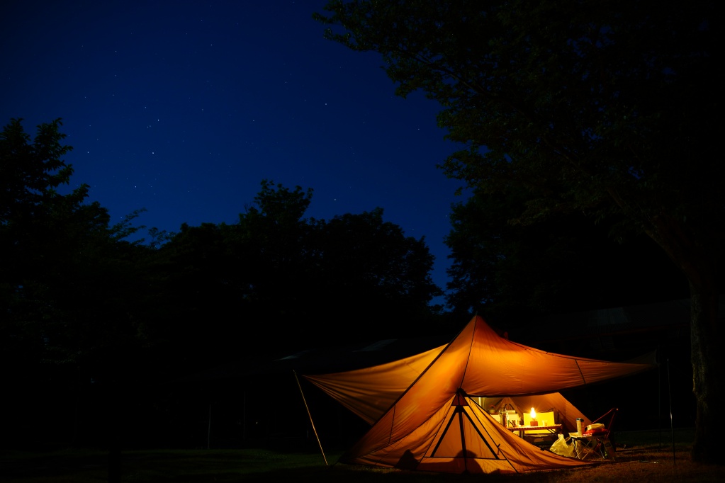 f:id:shirodango:20201213203535j:plain