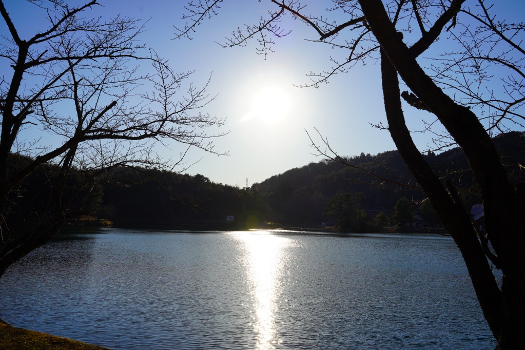 f:id:shirodango:20210208002423j:plain