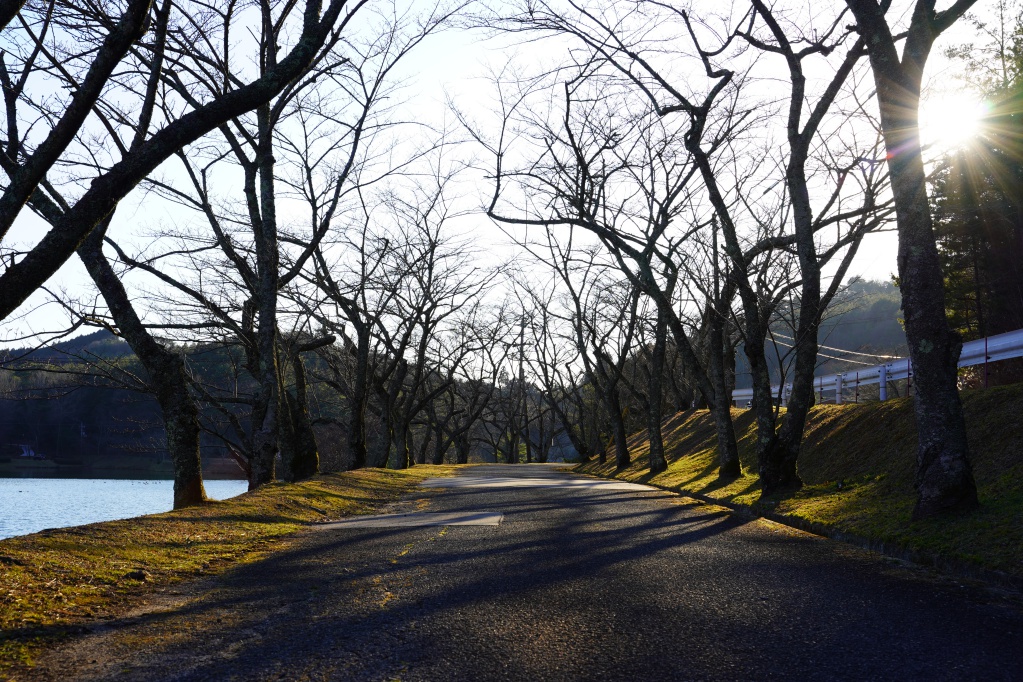 f:id:shirodango:20210208002426j:plain